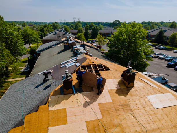 Trusted Roof Replacement service in Gowen, MI - Brentwood Metal Roofing